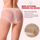 Seamless Ice Silk High Waist Bodycon Briefs | Buy 1, Get Pack of 4 - ENVI